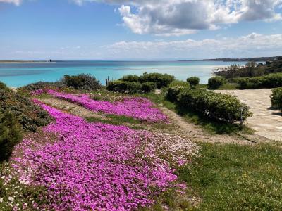 hotelcalarosa de sonderangebot-fruehsommer-auf-sardinien 024