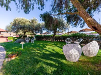 Giardino sereno con sedie eleganti sotto alberi ombrosi, sole e pace.