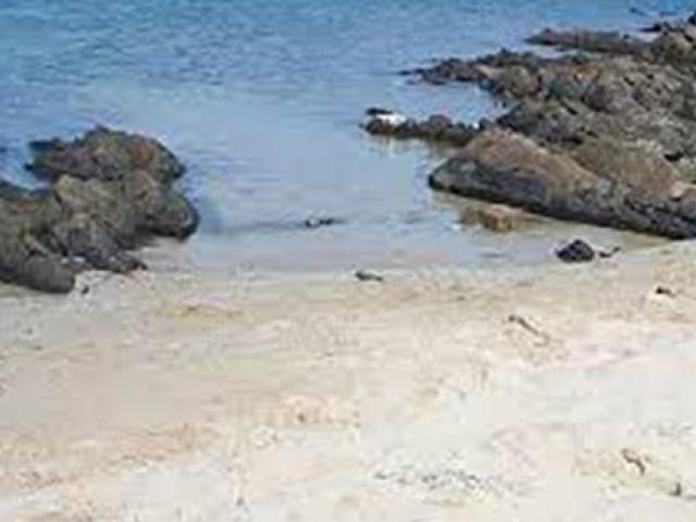 hotelcalarosa en beach-sardinia 024